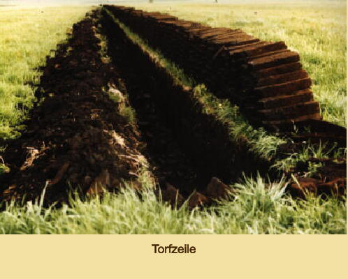 Torfzeile